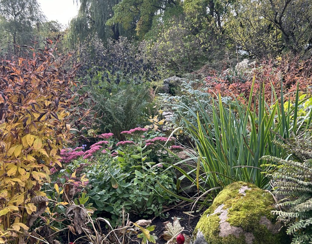 8 ting å gjøre i hagen i&nbsp;oktober