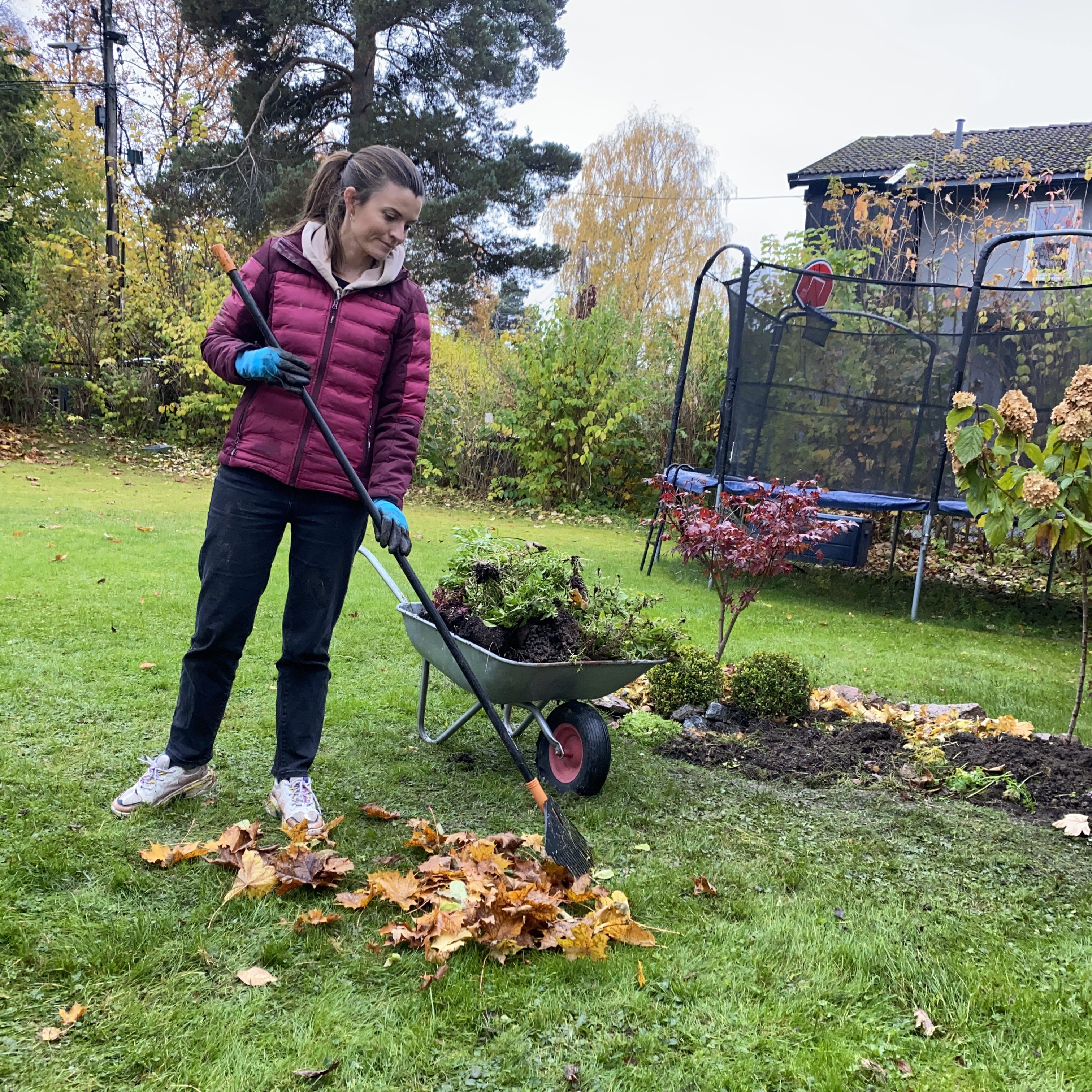 Raker i hagen i oktober