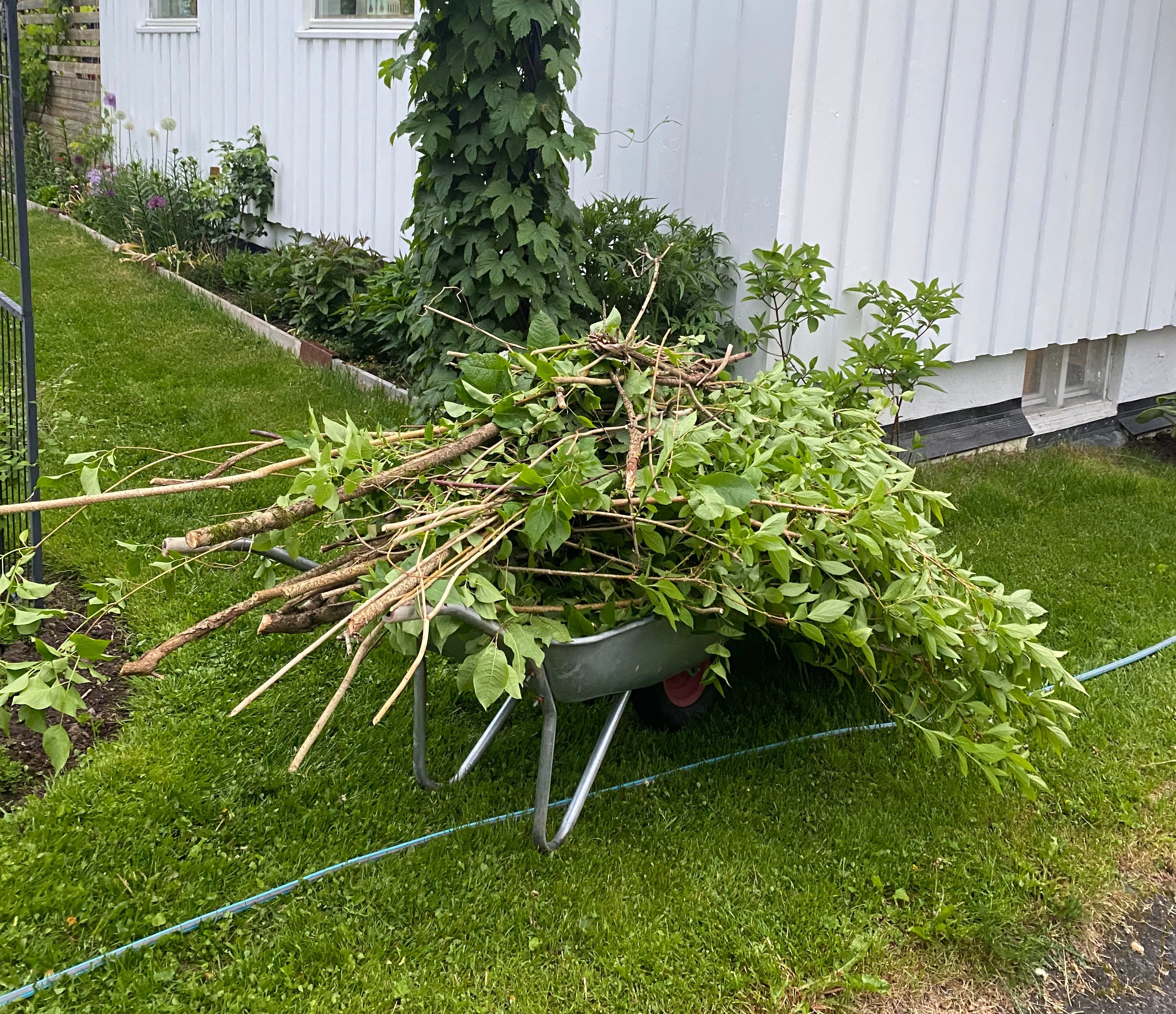 Trillebår med kvister og blader